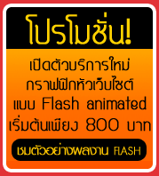 Flash Promotion